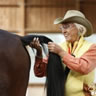 Linda demonstrating tail work in Germany, photo by Gabriele Boiselle