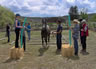 Starting Young Horses Training