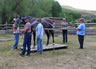 Starting Young Horses Training