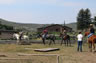 Starting Young Horses Training