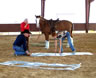 TTEAM Training in California