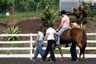 TTouch for You and Your Horse in Kona, Hawaii