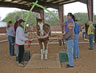 TTEAM Training in Texas