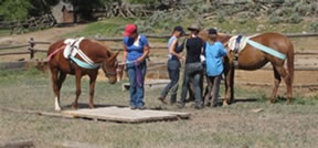 Bitterroot training group