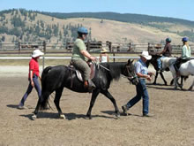 TTEAM Training at the Icelandic Horse Farm