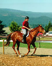 Riding bridleless with a liberty neck ring