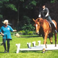 TTEAM workshop - bridlelesss riding exercises using a Liberty Neck Ring.