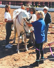 TEAM  TTouches -- clinic group learning various TTouches