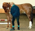 Linda connecting with a horse